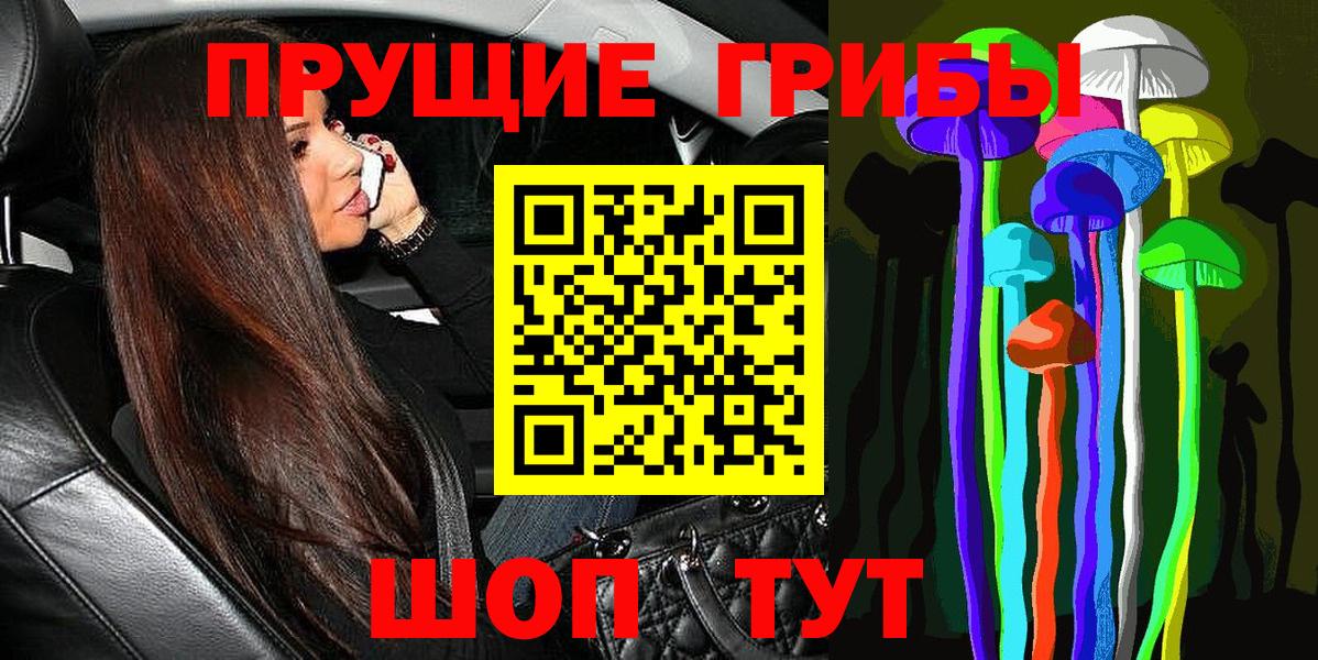 Балашов  Псилоцибиновые грибы GOLDEN TEACHER  Вход с VPN 